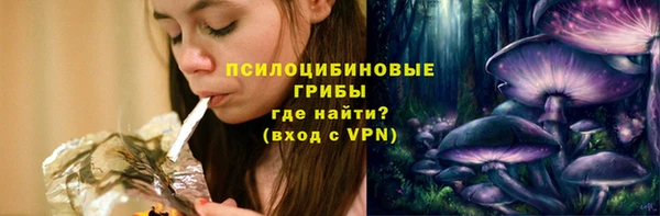 ПСИЛОЦИБИНОВЫЕ ГРИБЫ Новокубанск