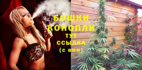 МДМА Новозыбков