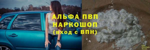 ПСИЛОЦИБИНОВЫЕ ГРИБЫ Новокубанск