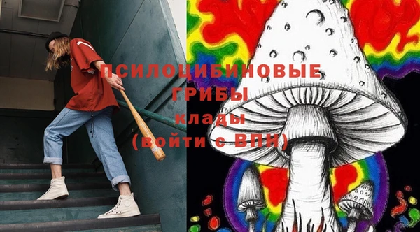 ПСИЛОЦИБИНОВЫЕ ГРИБЫ Новокубанск