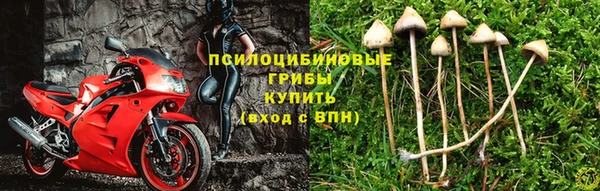 МДМА Новозыбков