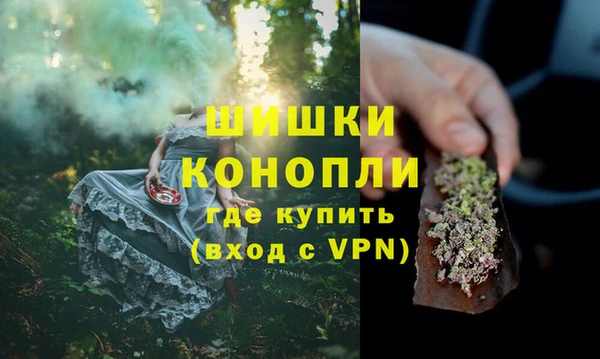 ПСИЛОЦИБИНОВЫЕ ГРИБЫ Новокубанск