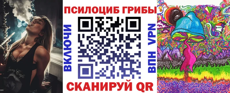 купить   Советск  Псилоцибиновые грибы Magic Shrooms 