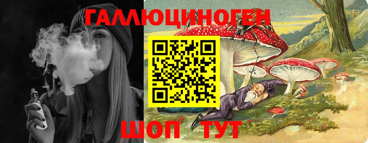 Галлюциногенные грибы Psilocybe  Вход с VPN  Советск 
