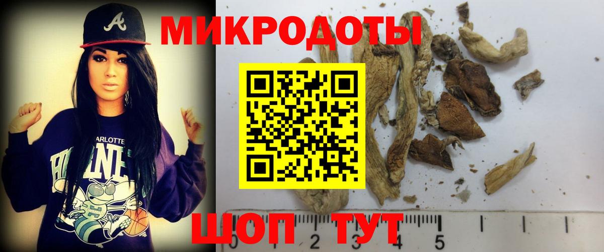 Псилоцибиновые грибы Cubensis Советск