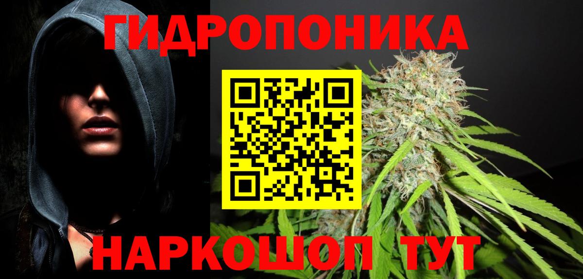 Советск  Канабис план  Вход с VPN  Бошки Шишки MAZAR  Шишки марихуана Amnesia  Шишки марихуана White Widow 